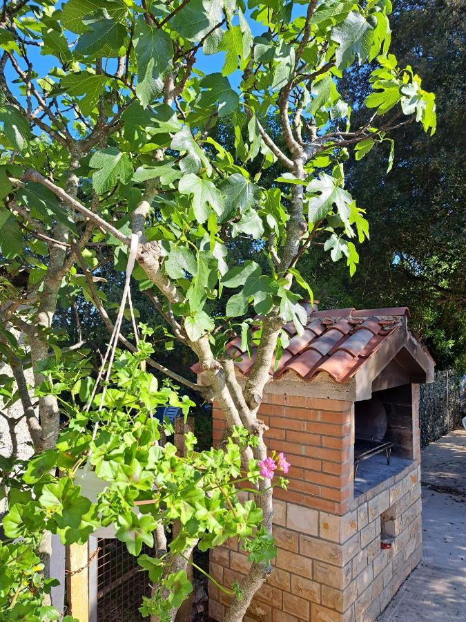Apartman Melita Galižana Екстериор снимка